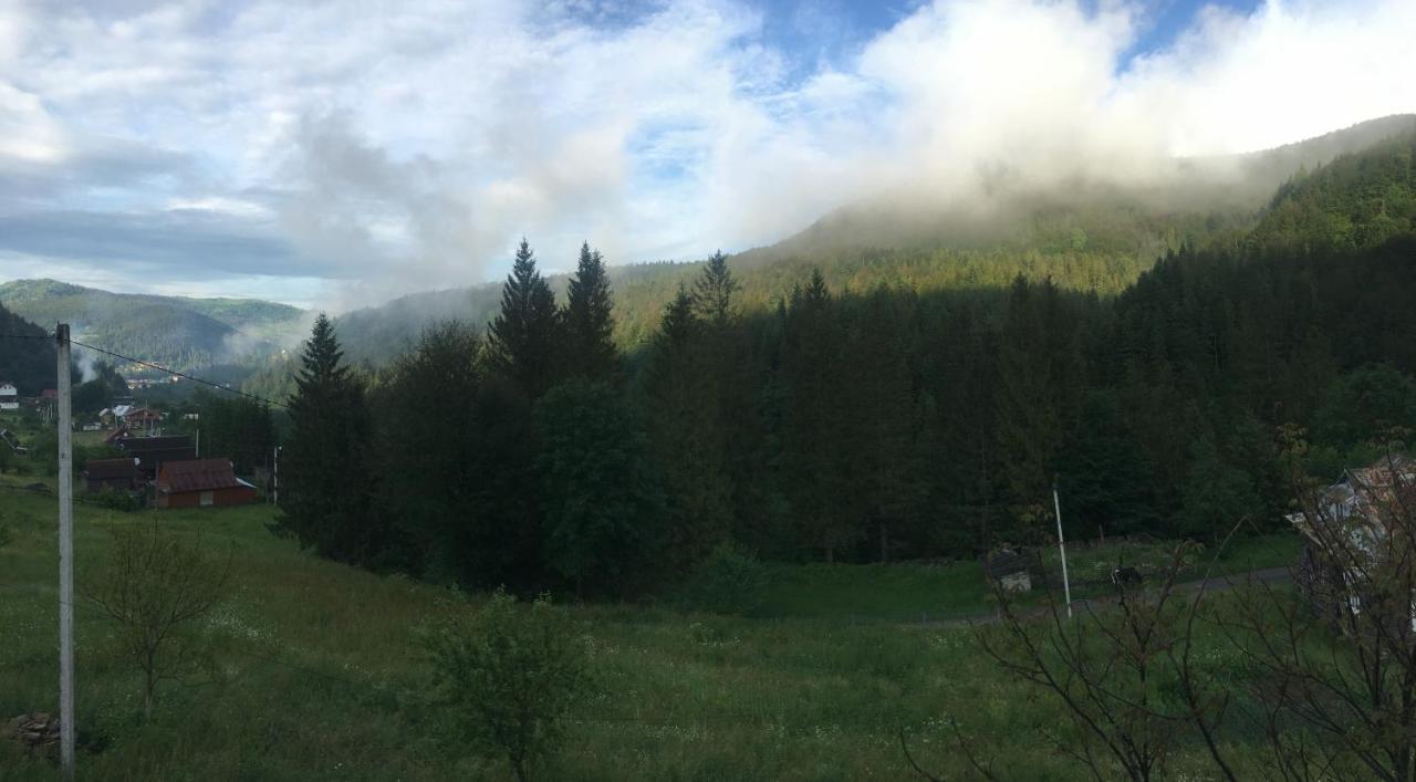 Котедж Mountain House Iaremcea Exterior foto
