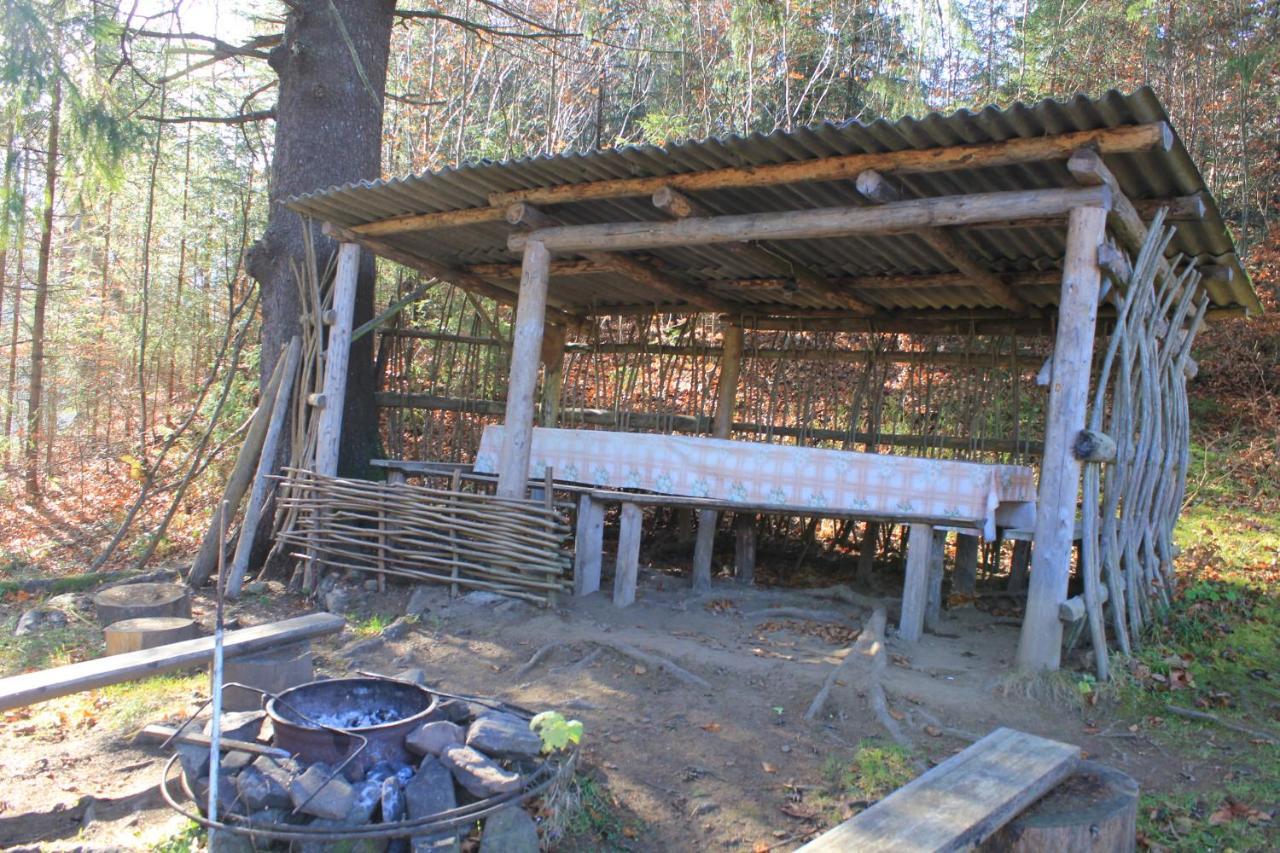 Котедж Mountain House Iaremcea Exterior foto
